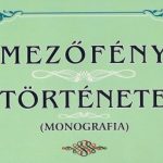 Mezőfény története