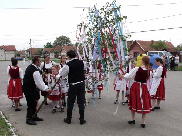 Bonyhád, Bukovinai találkozások