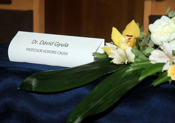 davidgyula_rohonyi_1_x_net_0