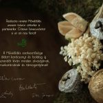 card_muv_2022_hu_ro