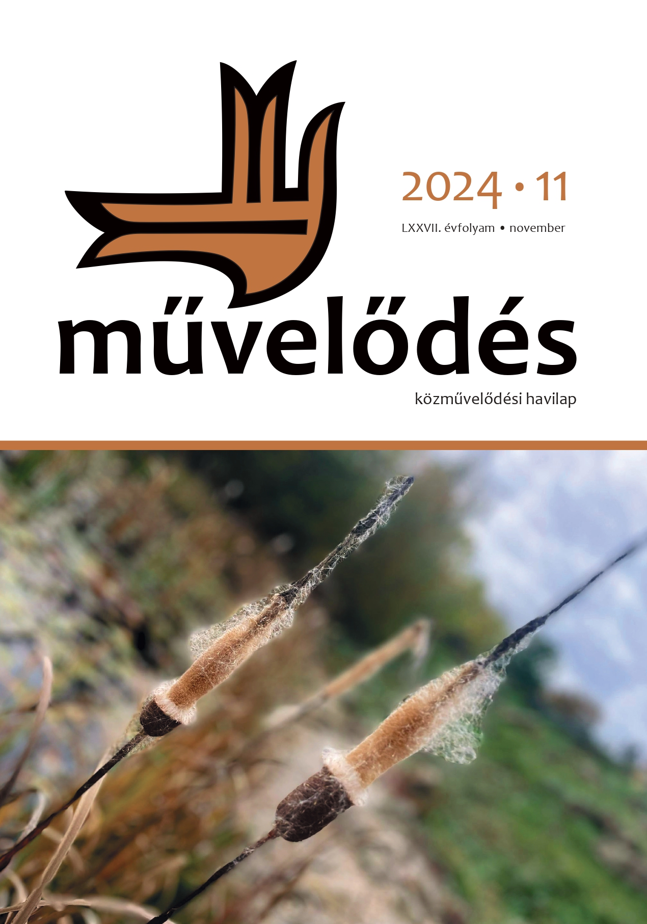 muvelodes-2024-11-00-1